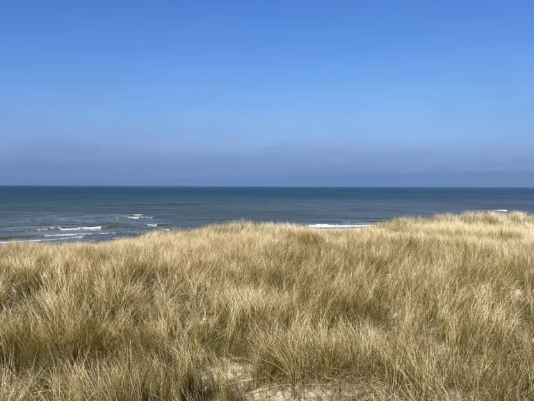 Nordholland Julianadorp Dünen Strand